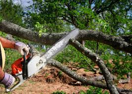 Best Weed Control  in Stillwater, MN