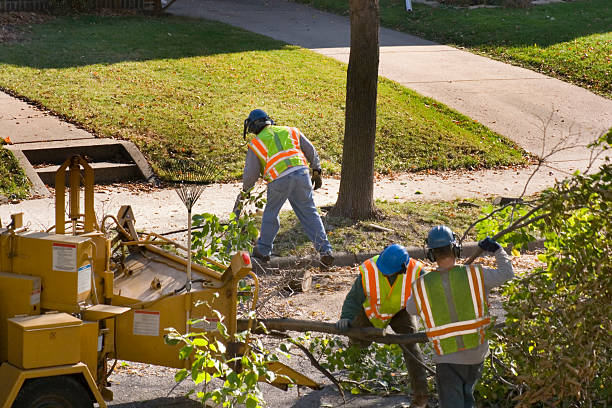 Best Seasonal Cleanup (Spring/Fall)  in Stillwater, MN