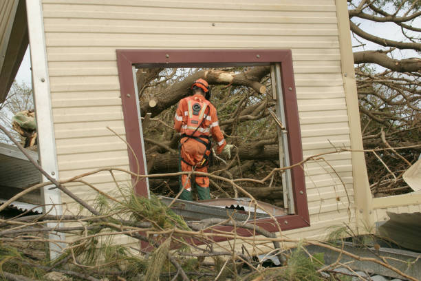 Leaf Removal in Stillwater, MN